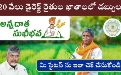 Annadata Sukhibhava Scheme 2025: 20 వేలు డైరెక్ట్ రైతుల ఖాతాలలో డబ్బులు జమ మీ స్టేటస్ ను ఇలా చెక్ చేసుకోండి.!