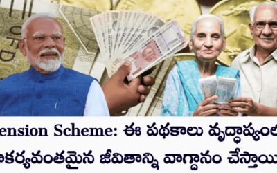 Pension Scheme: ఈ పథకాలు వృద్ధాప్యంలో సౌకర్యవంతమైన జీవితాన్ని వాగ్దానం చేస్తాయి.!