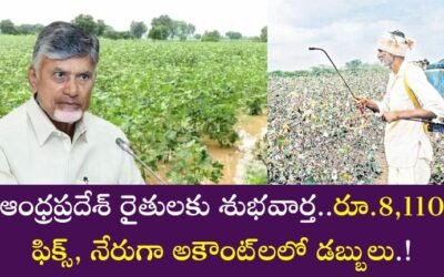 AP Farmers: ఆంధ్రప్రదేశ్ రైతులకు శుభవార్త..రూ.8,110 ఫిక్స్, నేరుగా అకౌంట్‌లలో డబ్బులు.!