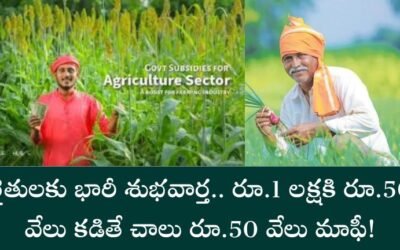 Farmers Subsidy: రైతులకు భారీ శుభవార్త.. రూ.1 లక్షకి రూ.50 వేలు కడితే చాలు రూ.50 వేలు మాఫీ!