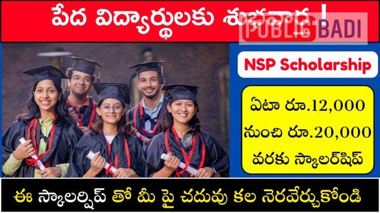 NSP Scholarship 2025