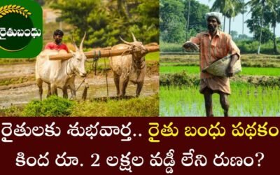 Rythu Bandhu Scheme 2025: ఆంధ్రప్రదేశ్ రైతులకు శుభవార్త.. రైతు బంధు పథకం కింద రూ. 2 లక్షల వడ్డీ లేని రుణం?